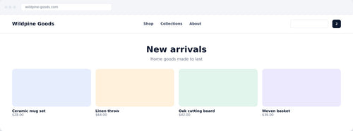 Example ecommerce store homepage with product grid